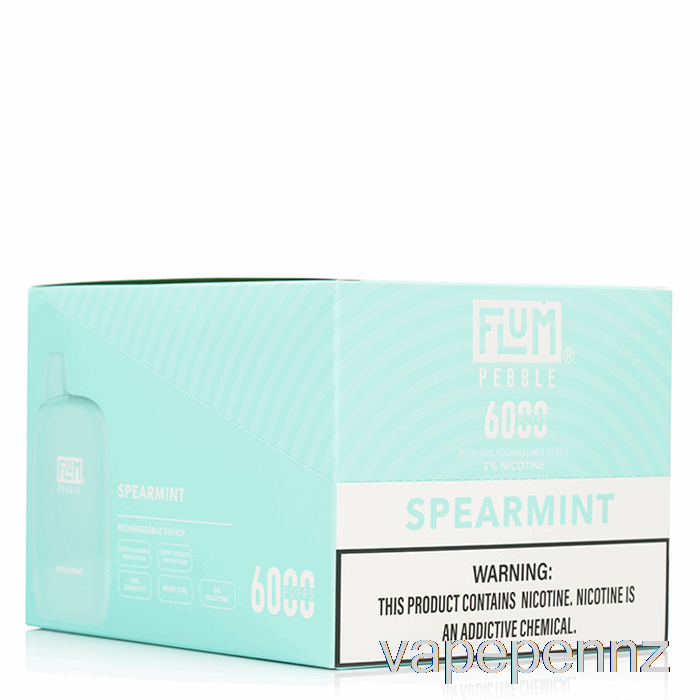[10-Pack] Flum Pebble 6000 Disposable VAPE NZ